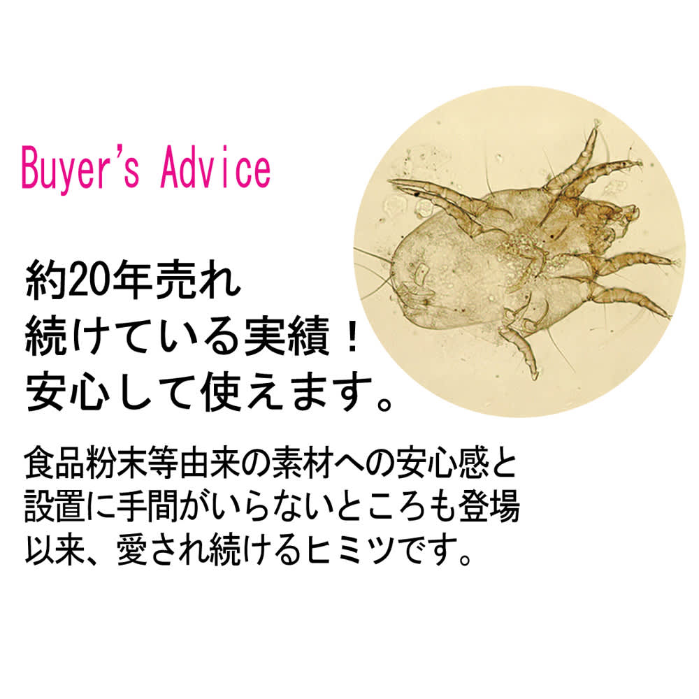 �u�_�j�߂胍�{�v �\�t�g�P�[�X���[�W�T�C�Y 5�g�Z�b�g ���v������ ��20�N���ꑱ���Ă�����я��i�ł��B