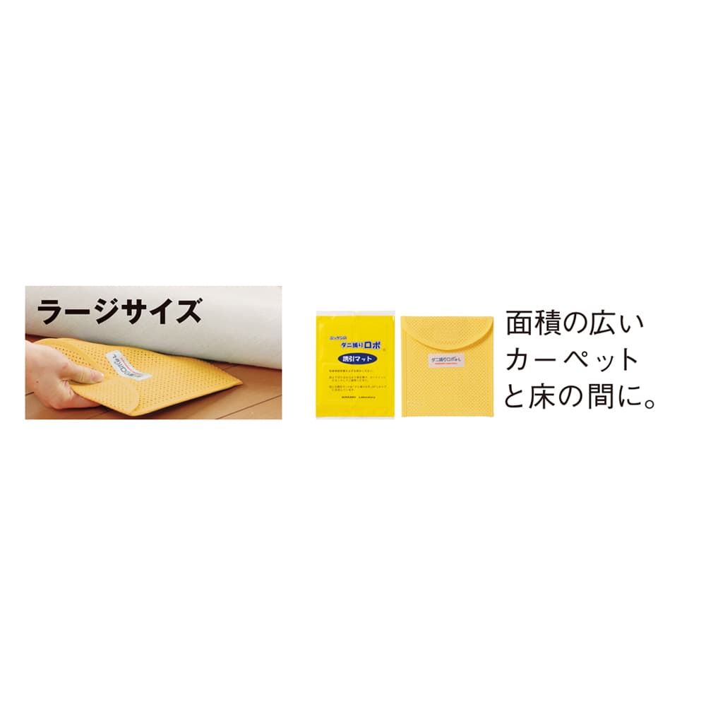 �u�_�j�߂胍�{�v �\�t�g�P�[�X���[�W�T�C�Y 5�g�Z�b�g ���v������ ���[�W�T�C�Y�B�ʐς̍L���J�[�y�b�g�Ə��̊ԂɁB