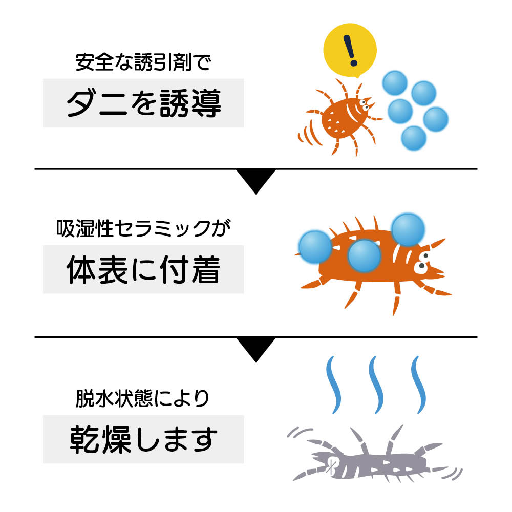 �u�_�j�߂胍�{�v �\�t�g�P�[�X���[�W�T�C�Y 5�g�Z�b�g ���v������