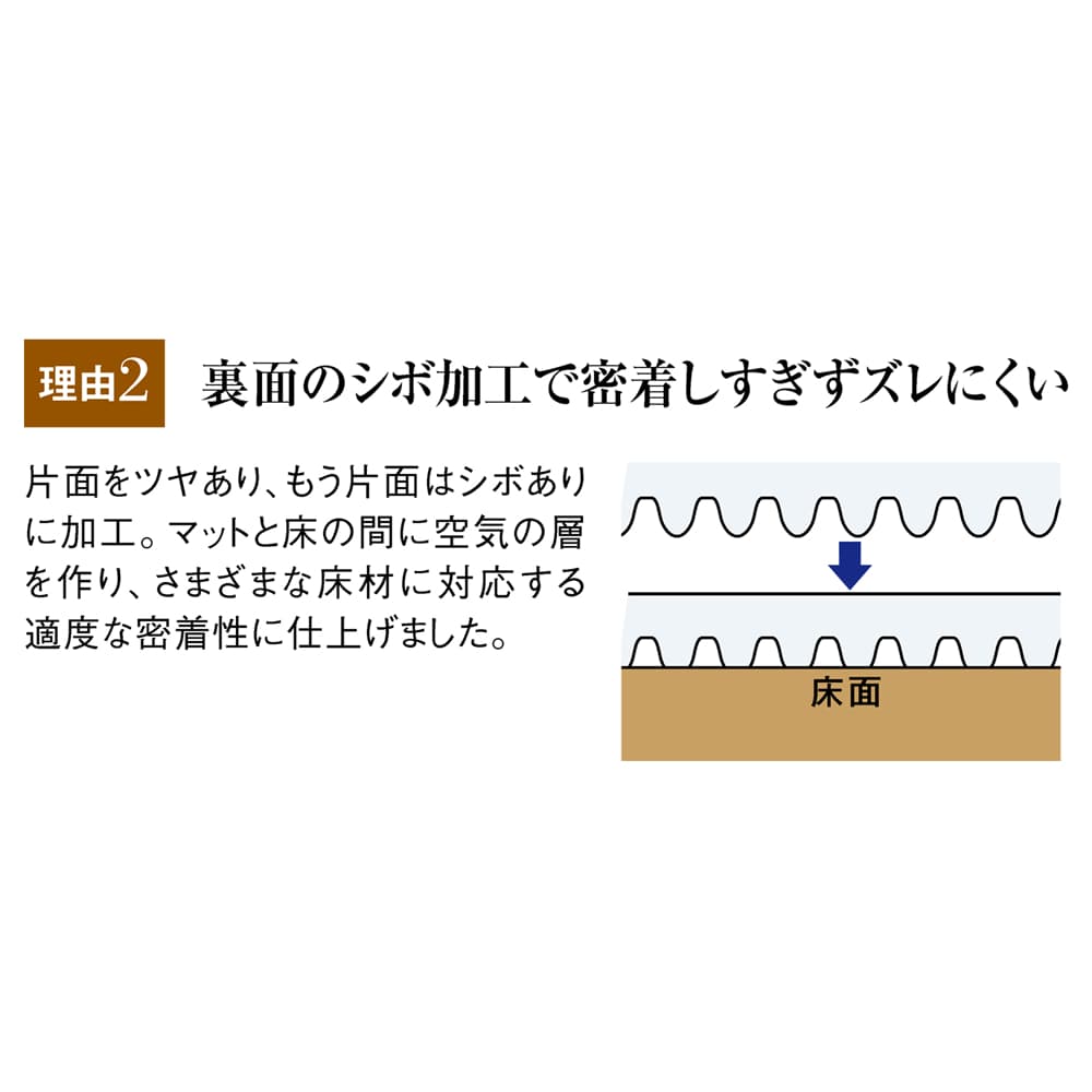 �A�L���X�����V���[�Y�@�V�R�ۃ_�C�j���O�e�[�u�����ی�}�b�g Neo