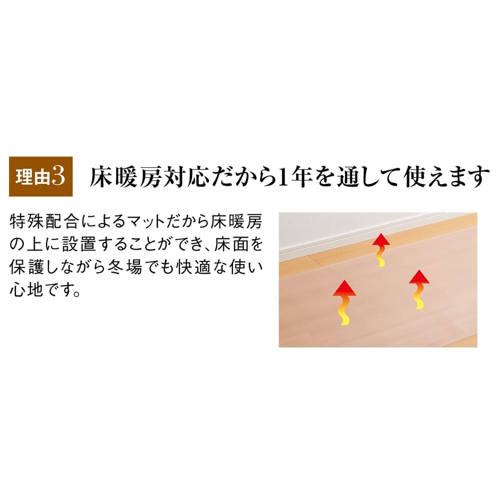 �A�L���X�����V���[�Y�@�V�R�ۃ_�C�j���O�e�[�u�����ی�}�b�g Neo
