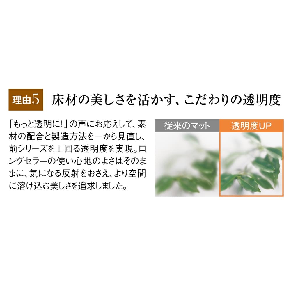 �A�L���X�����V���[�Y�@�V�R�ۃ_�C�j���O�e�[�u�����ی�}�b�g Neo