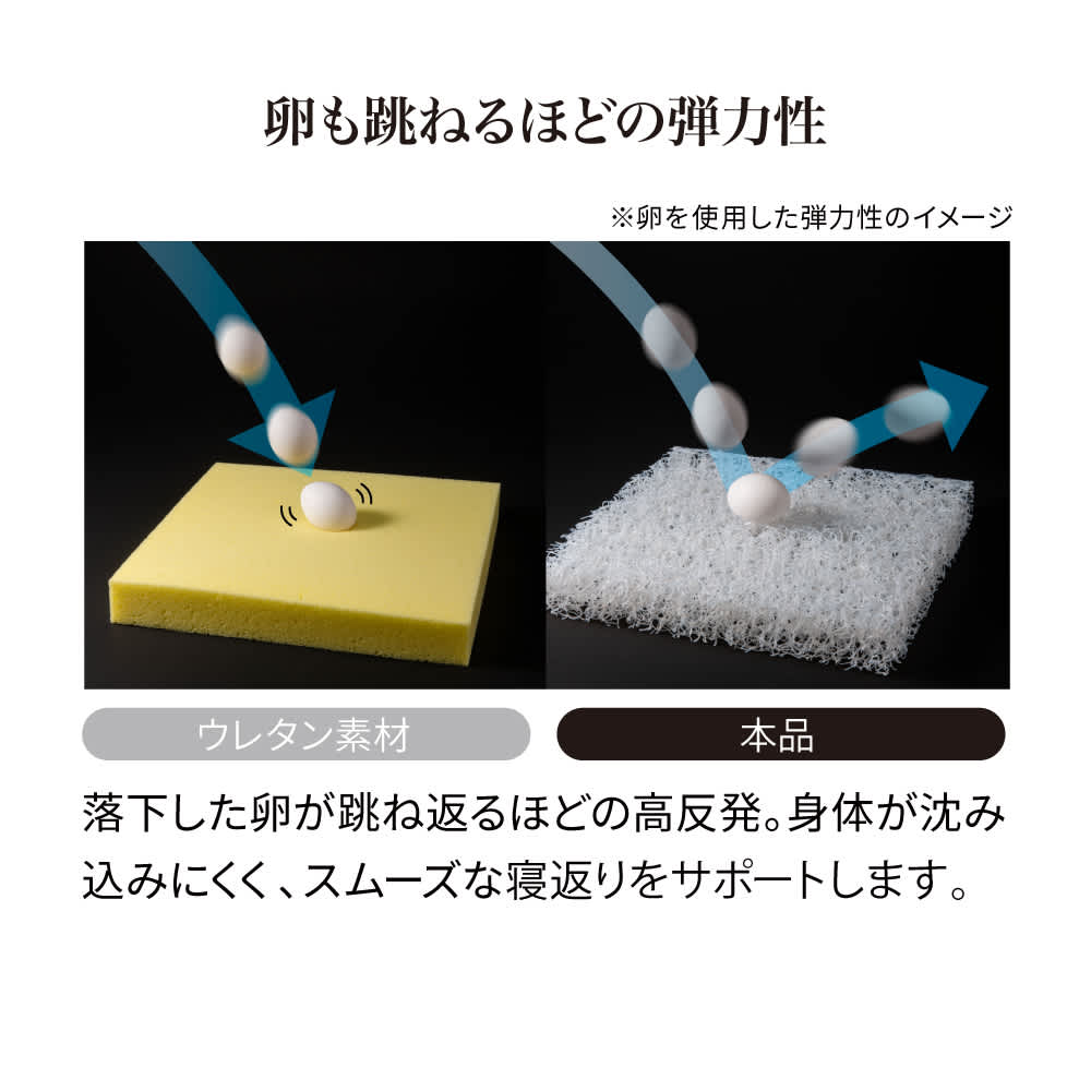 �����Ⴄ�B��������ȐQ�S�n �I�u���X�G�A�[�iR�j�R�܂�~�z�c���t�@�C���i������5cm�j