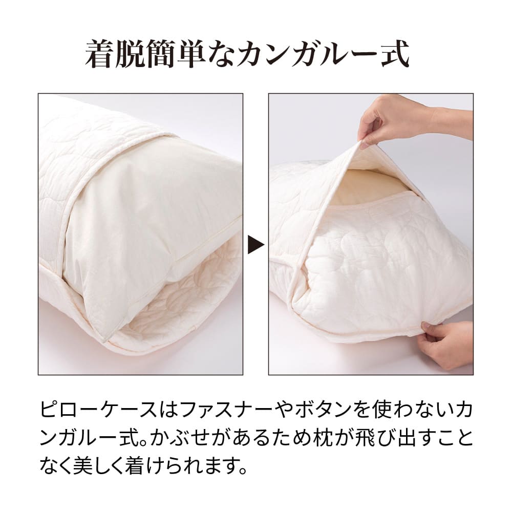 �p�V�[�}�iR�jEX ���n�^�C�v �s���[�P�[�X 1��