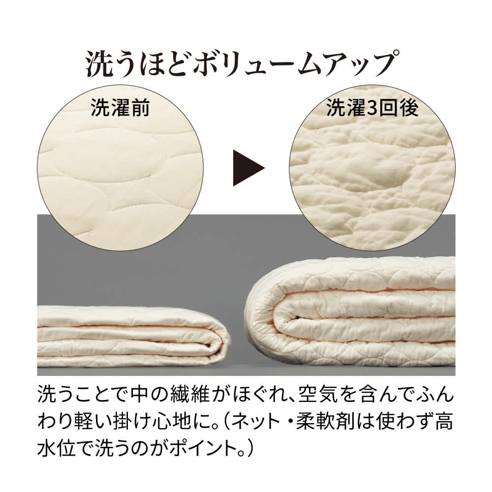 �p�V�[�}�iR�jEX ���n �~���p�b�h�i�p�b�h�V�[�c�j