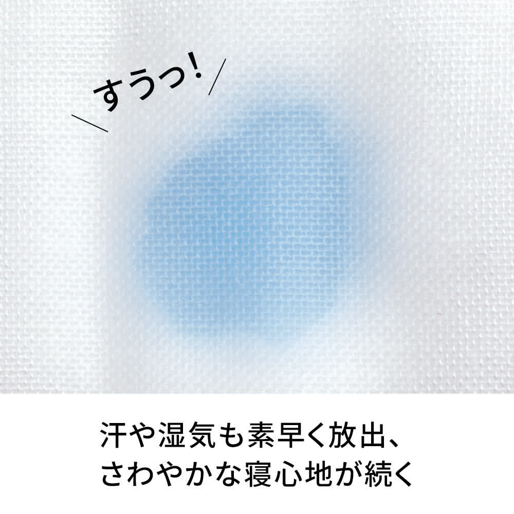 �p�V�[�}�iR�jEX ���n�^�C�v �~���p�b�h �t�@�~���[�T�C�Y