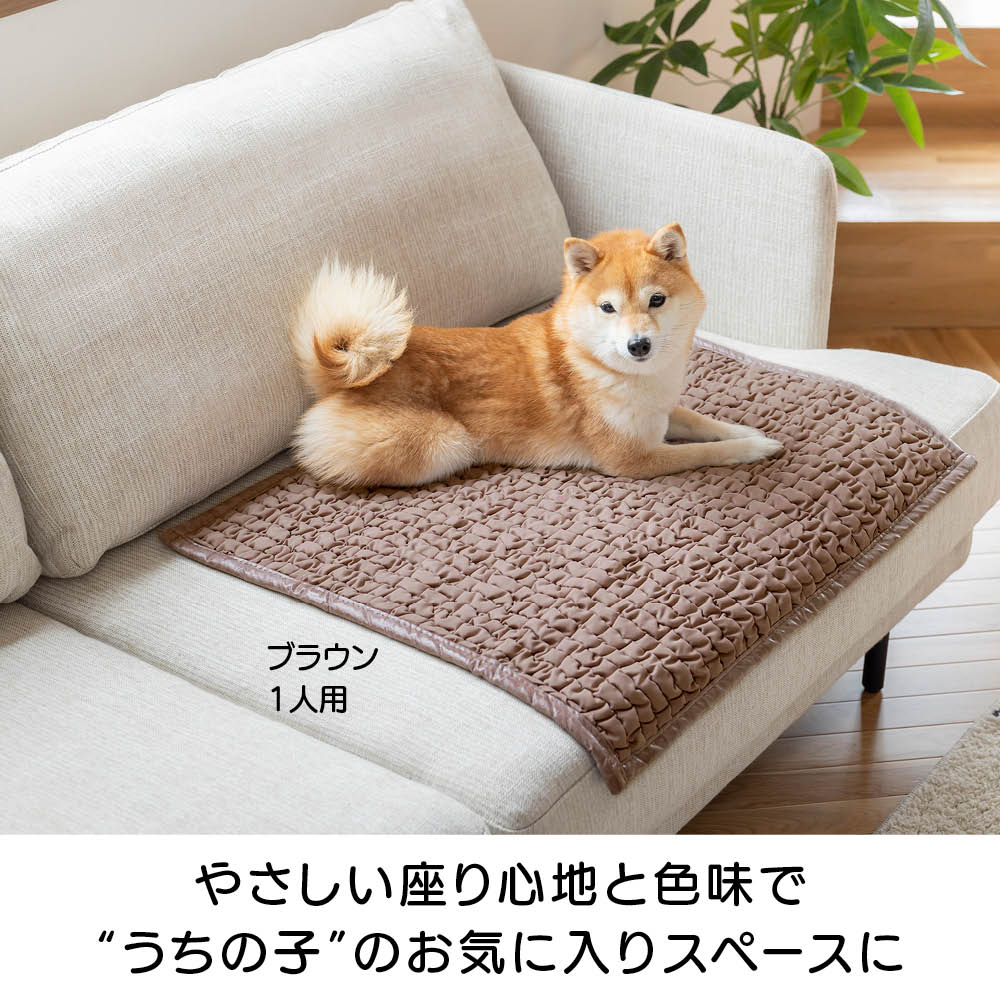 �C�^���A���\�t�@�v���e�N�^�[