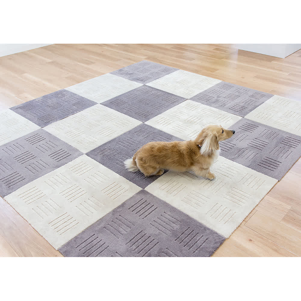 �s�^�v���X�iR�j�^�C���}�b�g ��60�~60cm�i���F2���g�j �i�A�j�x�[�W���A�i�C�j�u���E��