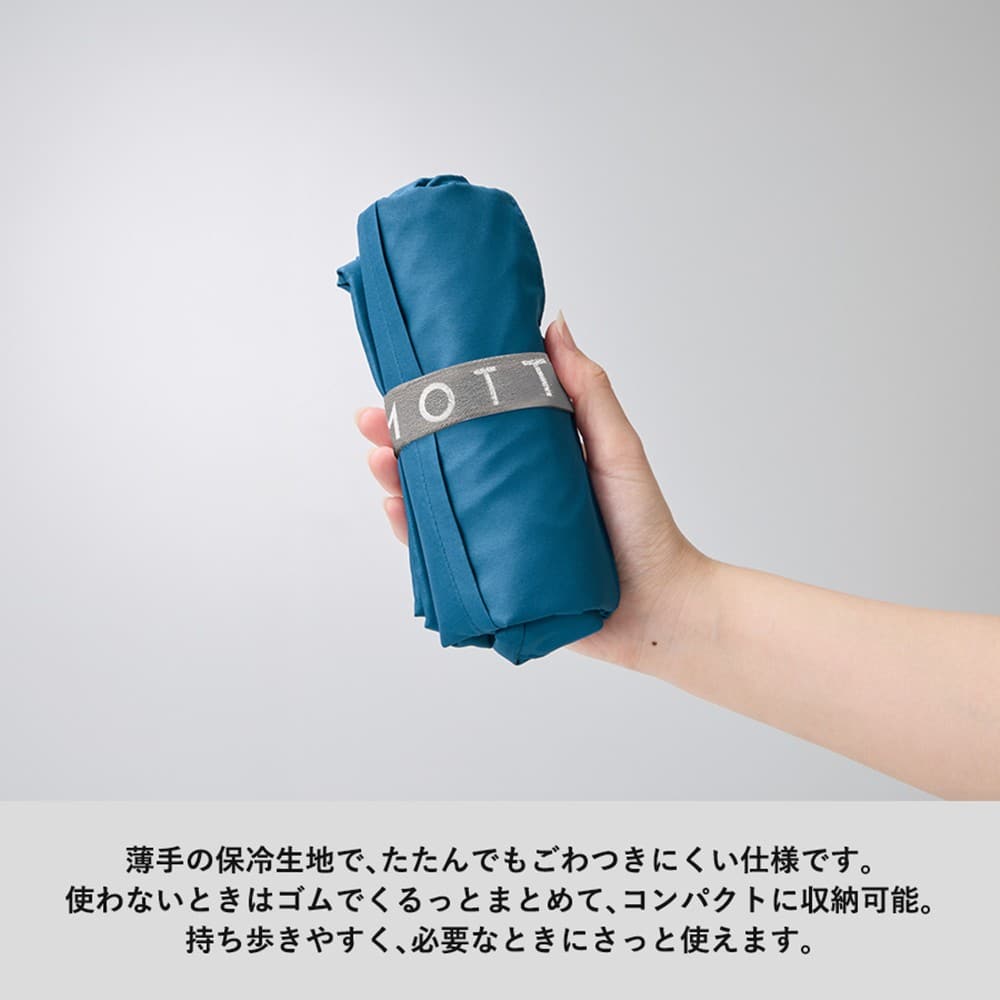 �N�����g�@�N�[���[�В��V�����_�[�o�b�O