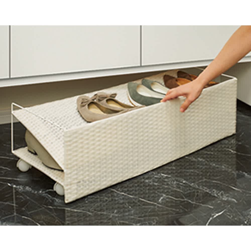 ���^�����̉��ʔ����Ɏ��܂�V���[�Y���S�� ��60cm �B���L���X�^�[�t���Ōy�������o���܂� �i���ʐ^�͕�80cm�^�C�v�j