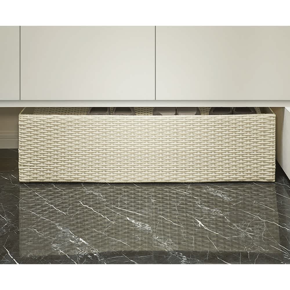 ���^�����̉��ʔ����Ɏ��܂�V���[�Y���S�� ��60cm ���ւ̉��ʔ����̃X�y�[�X�ɂ�������Ǝ��܂�܂��B �i���ʐ^�͕�80cm�^�C�v�j