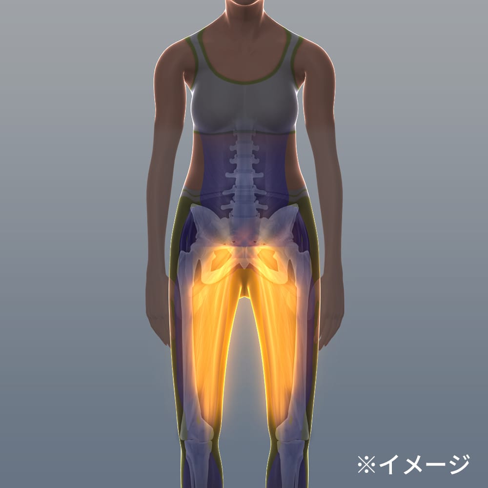 ワイドスクワットホッパー 通販 - ディノス ワイドスクワットホッパー 通販 - ディノス