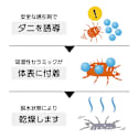 �u�_�j�߂胍�{�v �\�t�g�P�[�X���[�W�T�C�Y 5�g�Z�b�g ���v������