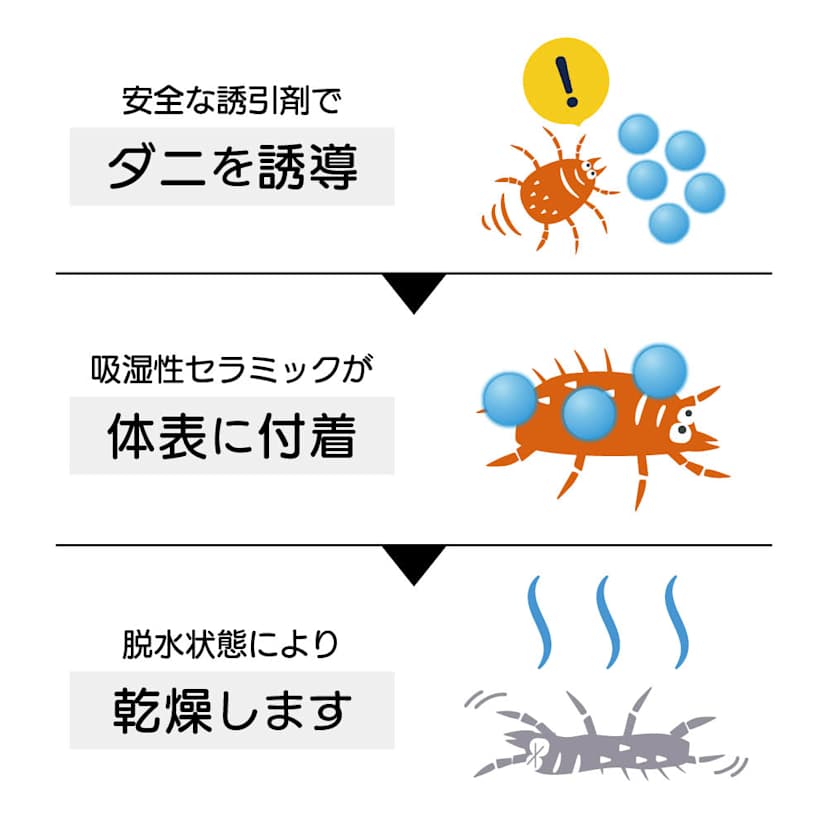 �u�_�j�߂胍�{�v �\�t�g�P�[�X���[�W�T�C�Y 5�g�Z�b�g ���v������