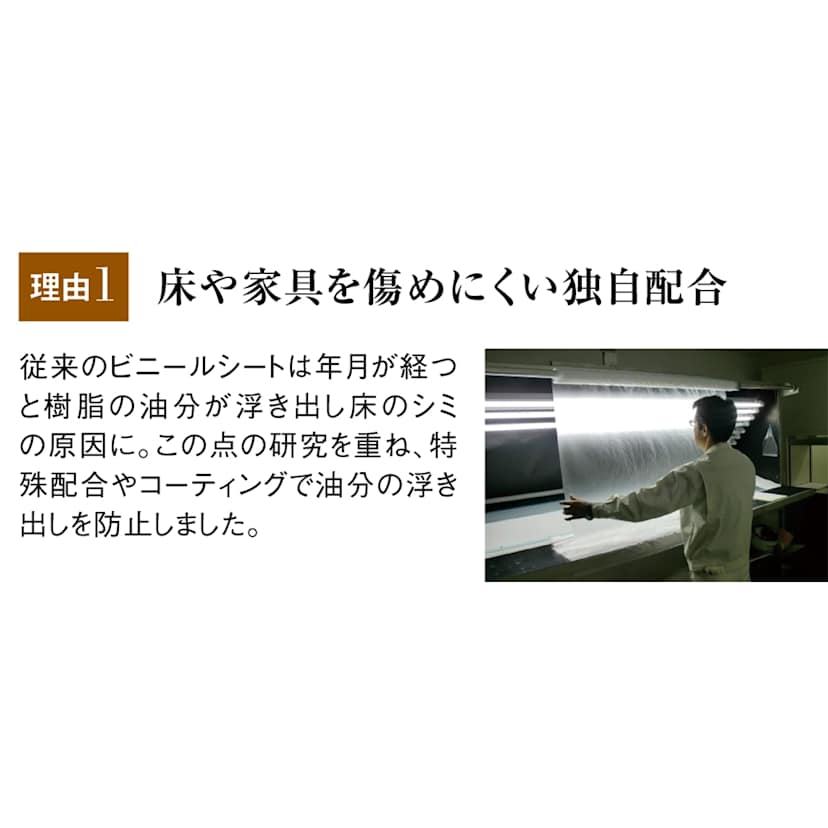 �A�L���X�����V���[�Y�@�V�R�ۃ_�C�j���O�e�[�u�����ی�}�b�g Neo
