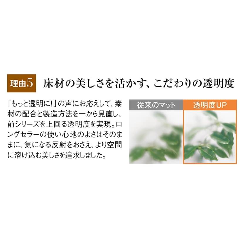 �A�L���X�����V���[�Y�@�V�R�ۃ_�C�j���O�e�[�u�����ی�}�b�g Neo