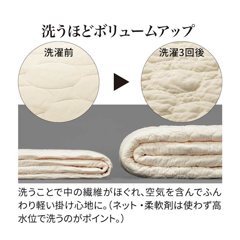 �p�V�[�}�iR�jEX ���n �~���p�b�h�i�p�b�h�V�[�c�j