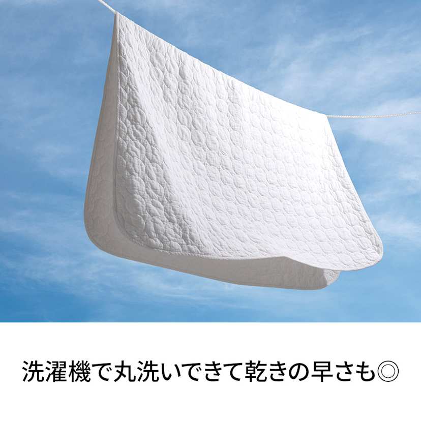 �p�V�[�}�iR�jEX ����߃^�C�v �L���g�P�b�g