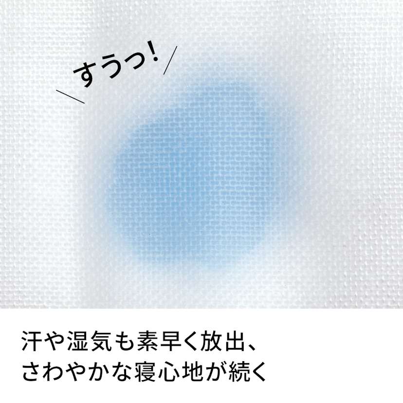 �p�V�[�}�iR�jEX ����߃^�C�v �L���g�P�b�g
