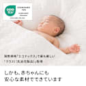 �p�V�[�}�iR�jEX ����߃^�C�v �L���g�P�b�g