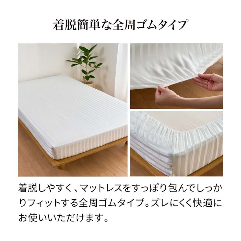 �􂦂�I�[���V���N�T�e���D��V���[�Y �{�b�N�X�V�[�c �z���C�g