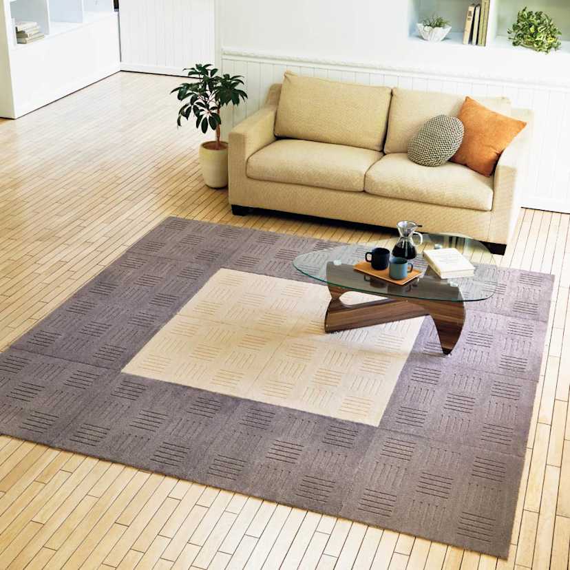 �s�^�v���X�iR�j�^�C���}�b�g ��60�~60cm�i���F2���g�j �i�ʐ^�́A(�A)�x�[�W��4���� (�C)�u���E��12�����g�p�j  ���ʂŕ\�������V���v���ȃX�N�G�A���̃}�b�g���A�I�V�����ȃ��r���O���O�ɁB