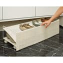 ���^�����̉��ʔ����Ɏ��܂�V���[�Y���S�� ��60cm �B���L���X�^�[�t���Ōy�������o���܂� �i���ʐ^�͕�80cm�^�C�v�j